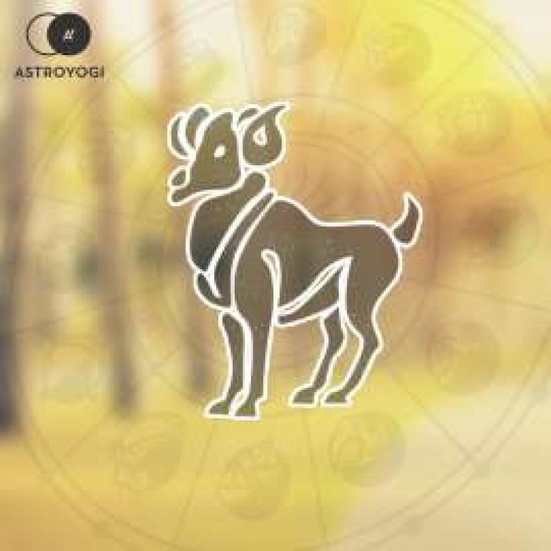 Birthsign Aries / Mesh