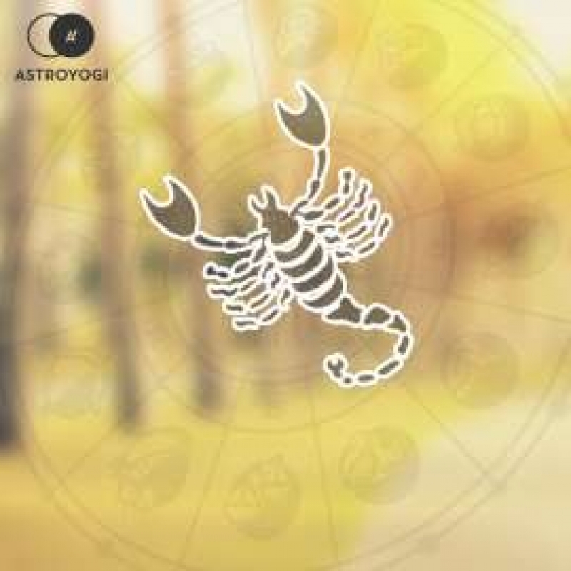 Birthsign Scorpio / Vrishchik