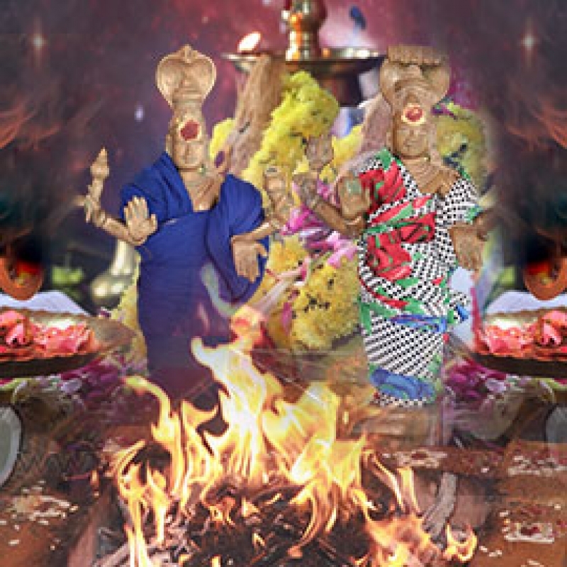 Kaalsarpa Yagya